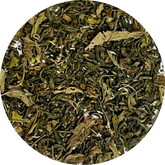 Tulsi green tea wholesale 2kg cartons